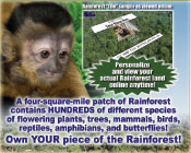 OwnForest.com - Rainforest Gift Card