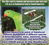OwnForest.com - Rainforest Gift Card!